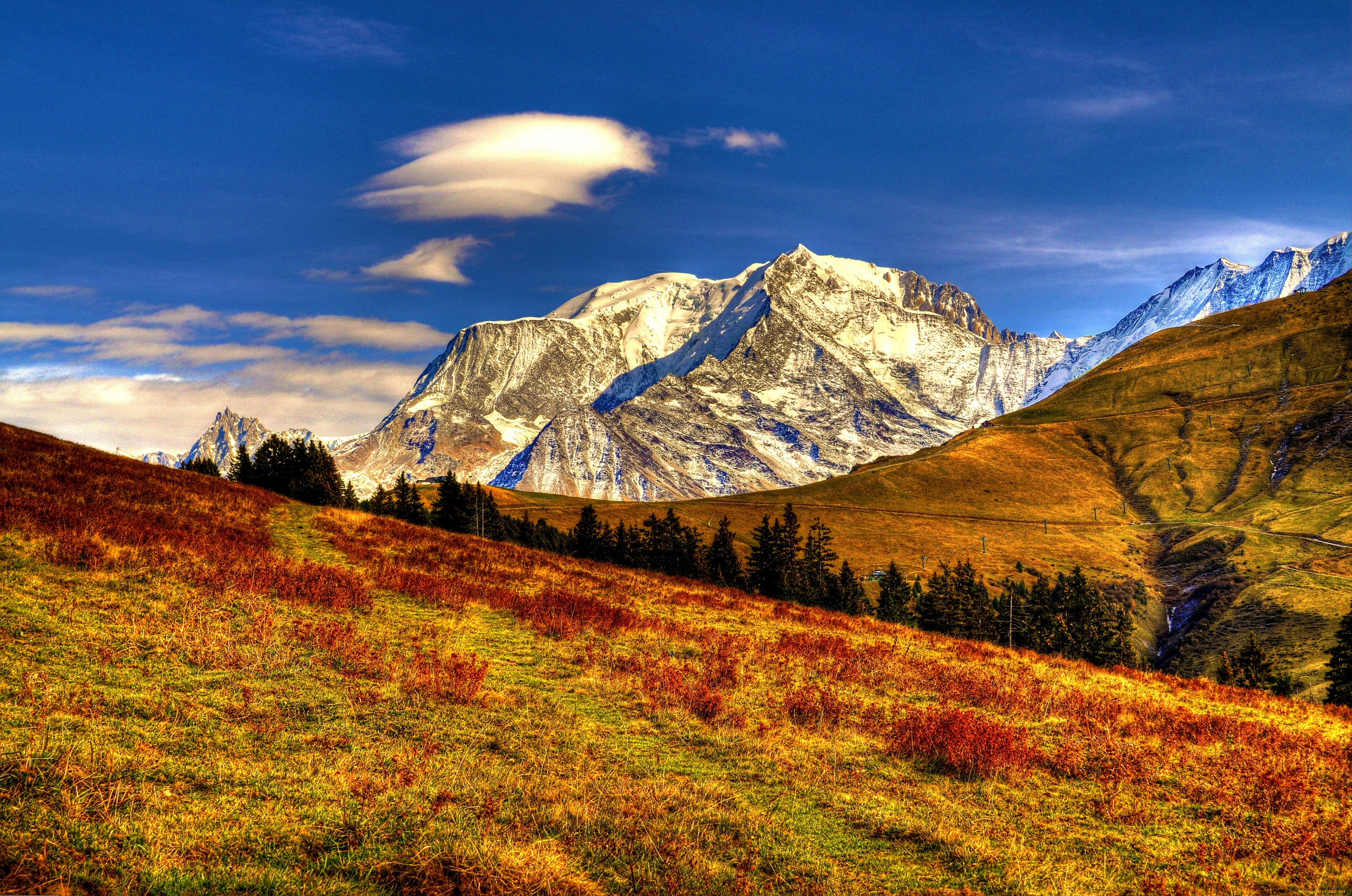 mont, bland, , , , 